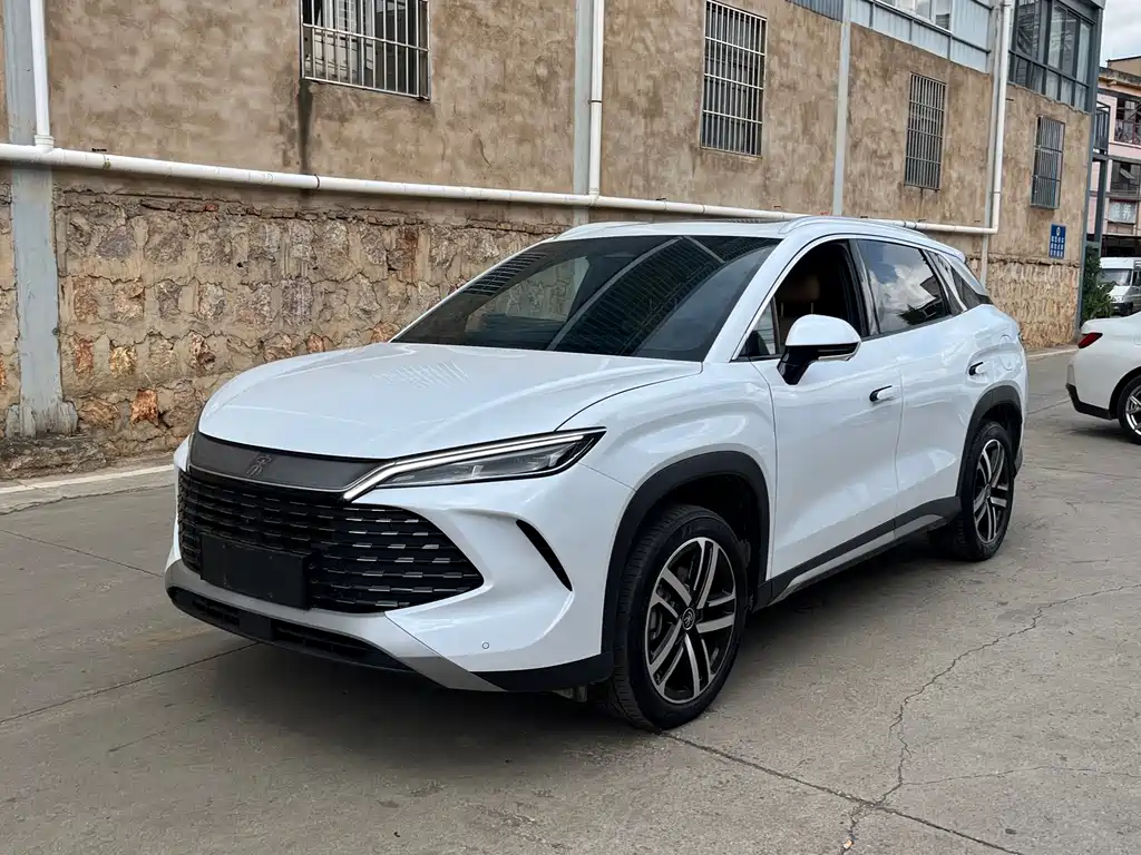 BYD L DM-i