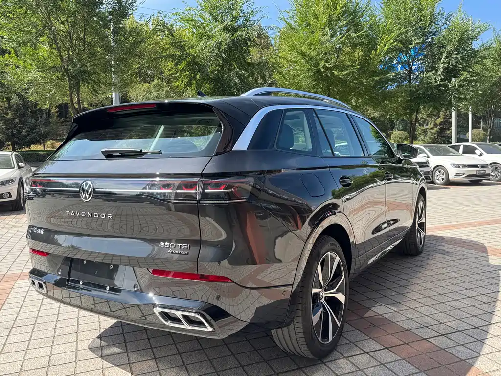 Volkswagen Tavendor — миниатюра 17