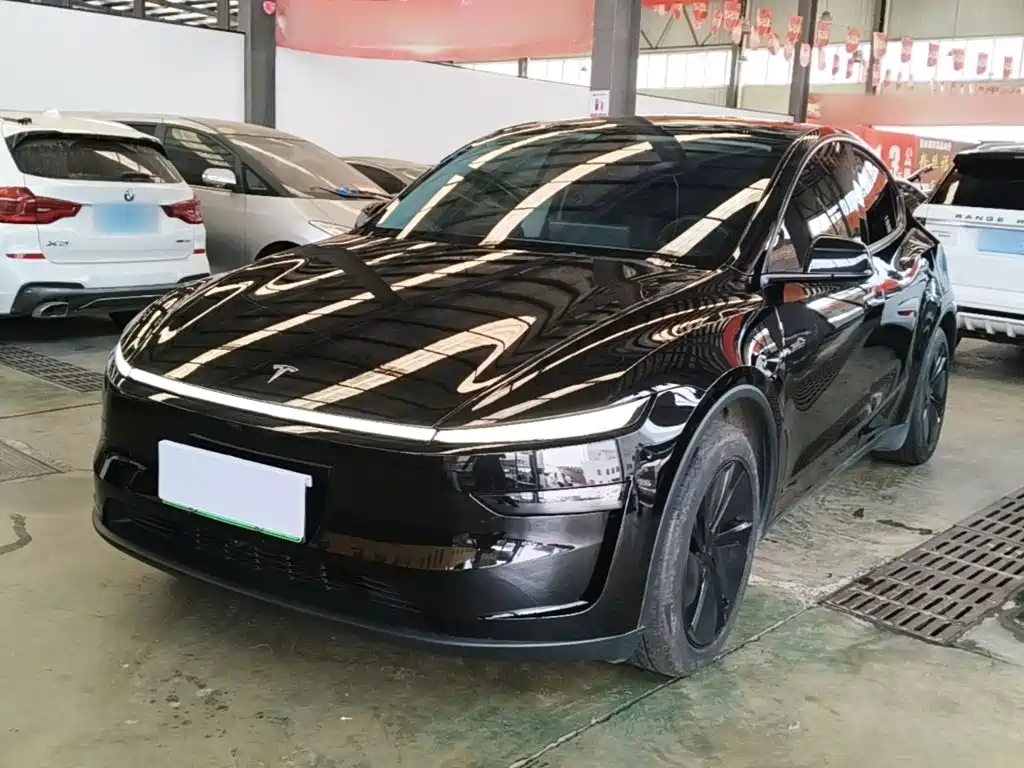 Tesla Model Y — миниатюра 2