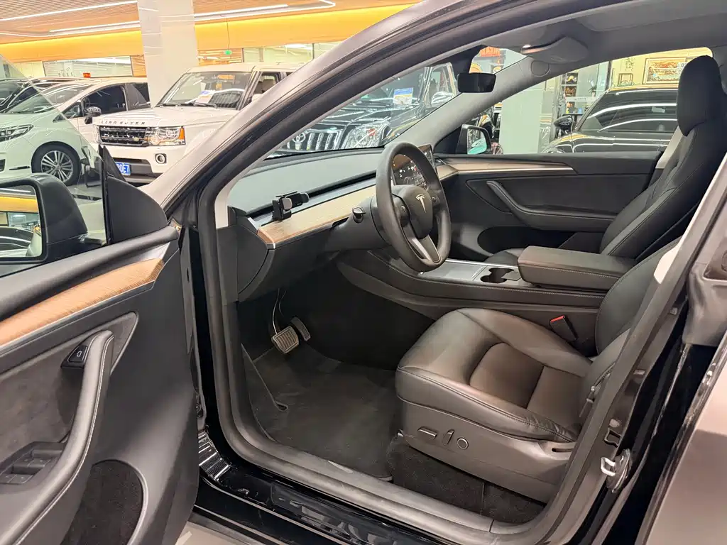 Tesla Model Y — миниатюра 4