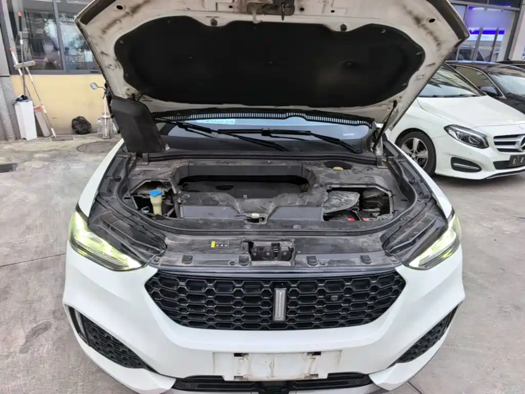 Wey Wey VV6 — миниатюра 20