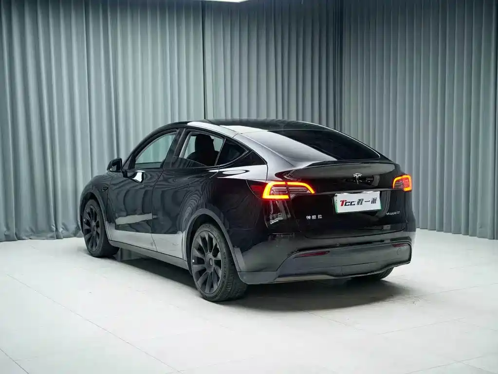 Tesla Model Y — миниатюра 10