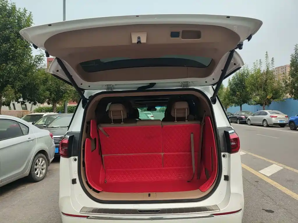 Buick GL8 — миниатюра 19