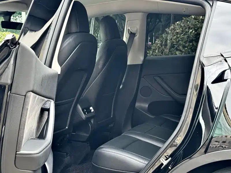 Tesla Model Y — миниатюра 7