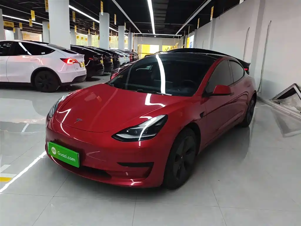 Tesla Model 3 2021