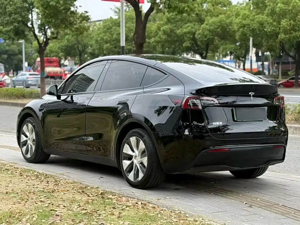Tesla Model Y — миниатюра 9