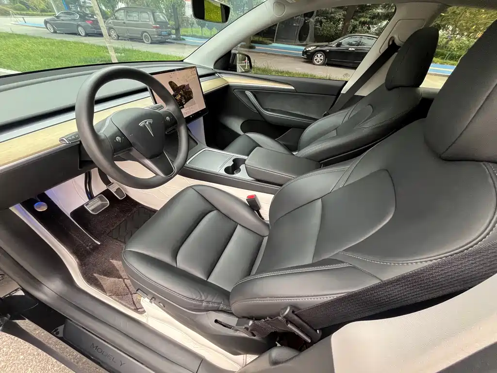Tesla Model Y — миниатюра 10
