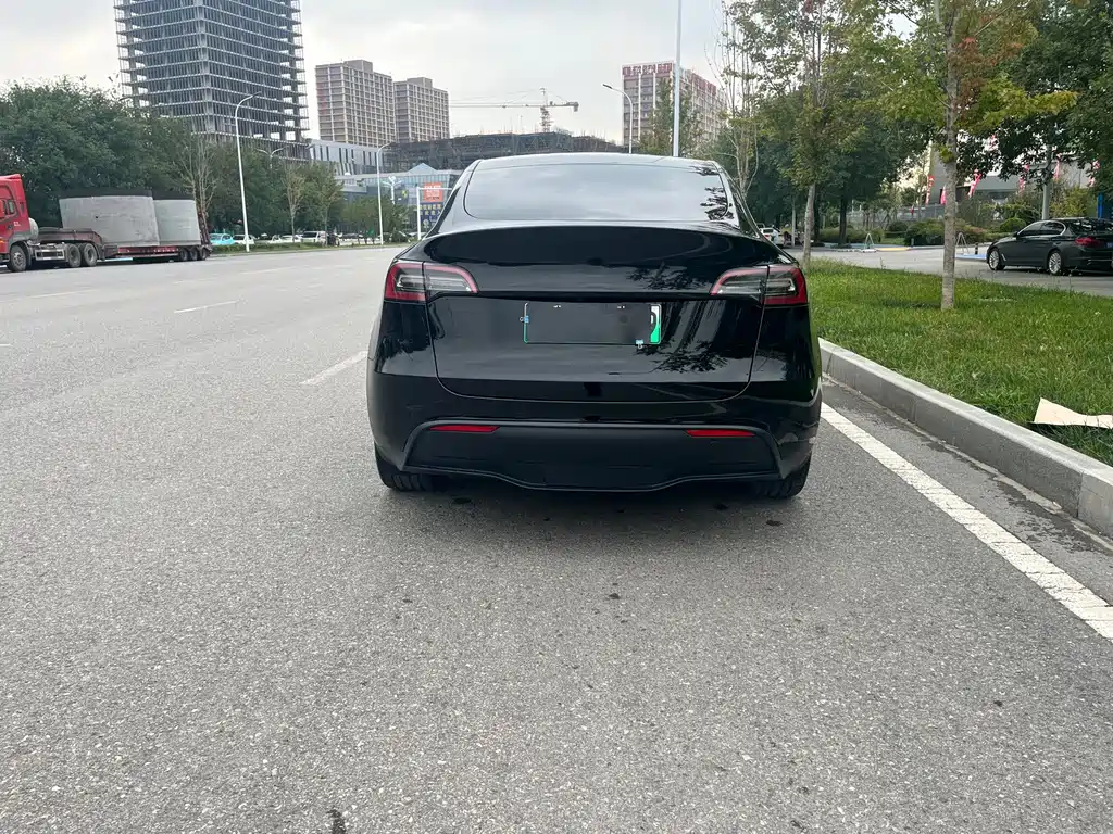 Tesla Model Y — миниатюра 17