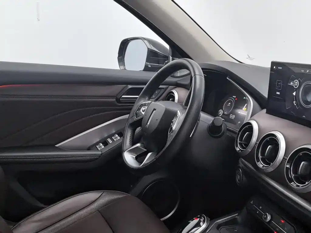 Wey Wey VV6 — миниатюра 22