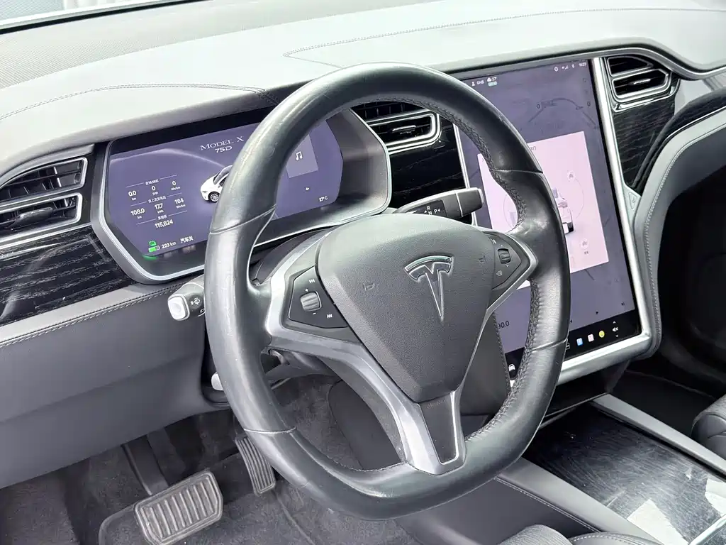 Tesla Model X — миниатюра 9