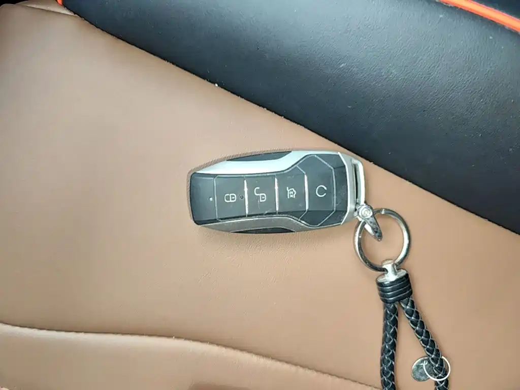 BYD PLUS — миниатюра 9