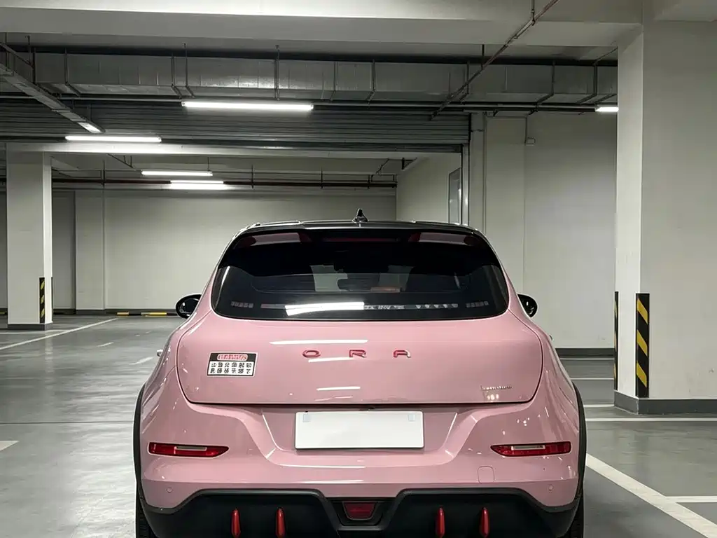 Ora Ora Good Cat GT — миниатюра 14