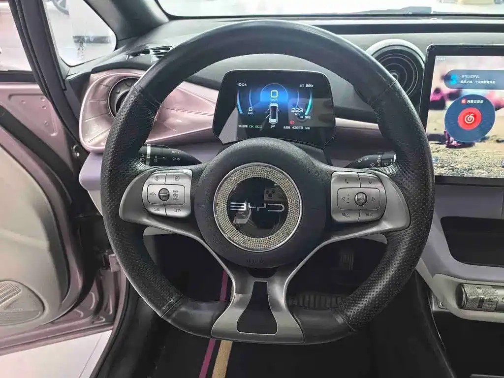 BYD Dolphin — миниатюра 8