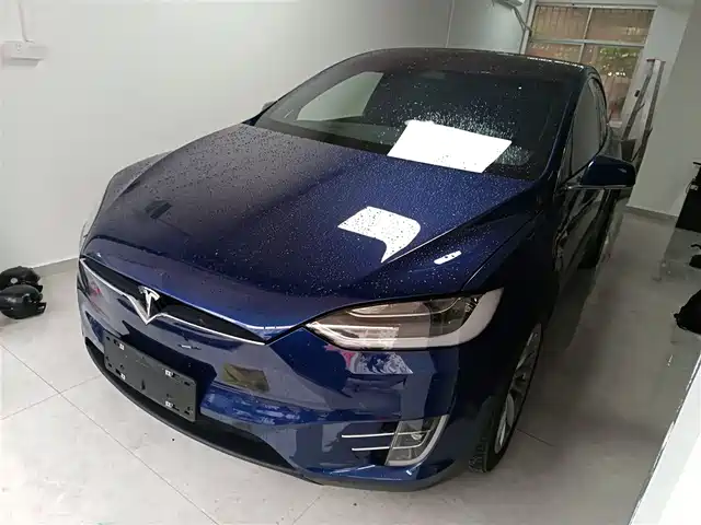 TESLA MODEL X 2019