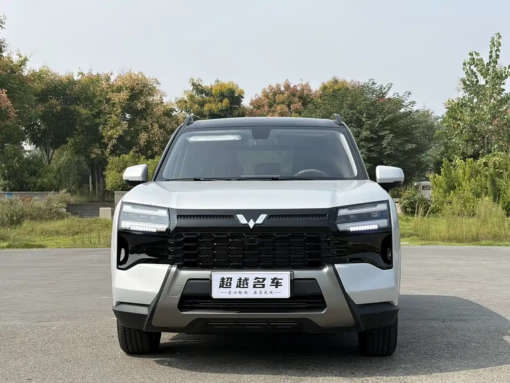 Wuling Xingguang 560 — миниатюра 2