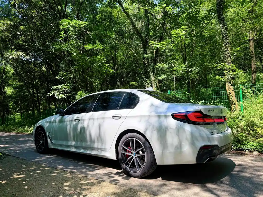 BMW 5 Series 5 2018 525Li M Sport
