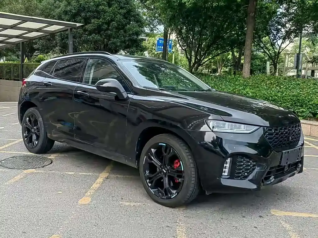 WEI PAI WEI BRAND VV7