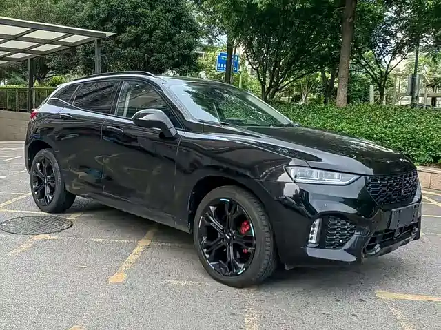 WEI PAI WEI BRAND VV7 2017