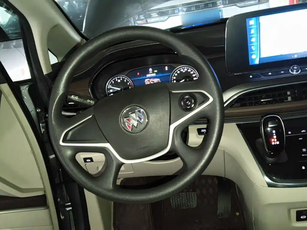Buick GL8 — миниатюра 11