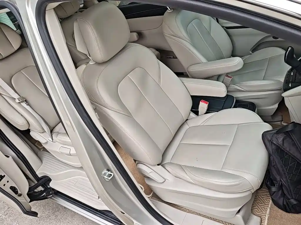 Buick GL8 — миниатюра 25