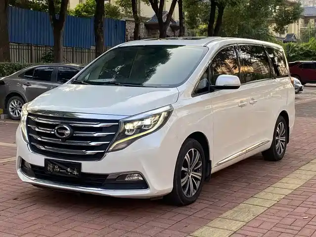 2018 GAC GN8