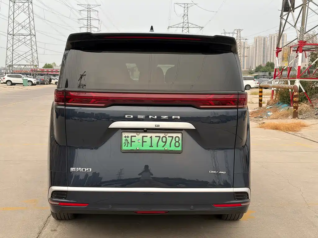 Denza Denza D9 — миниатюра 8