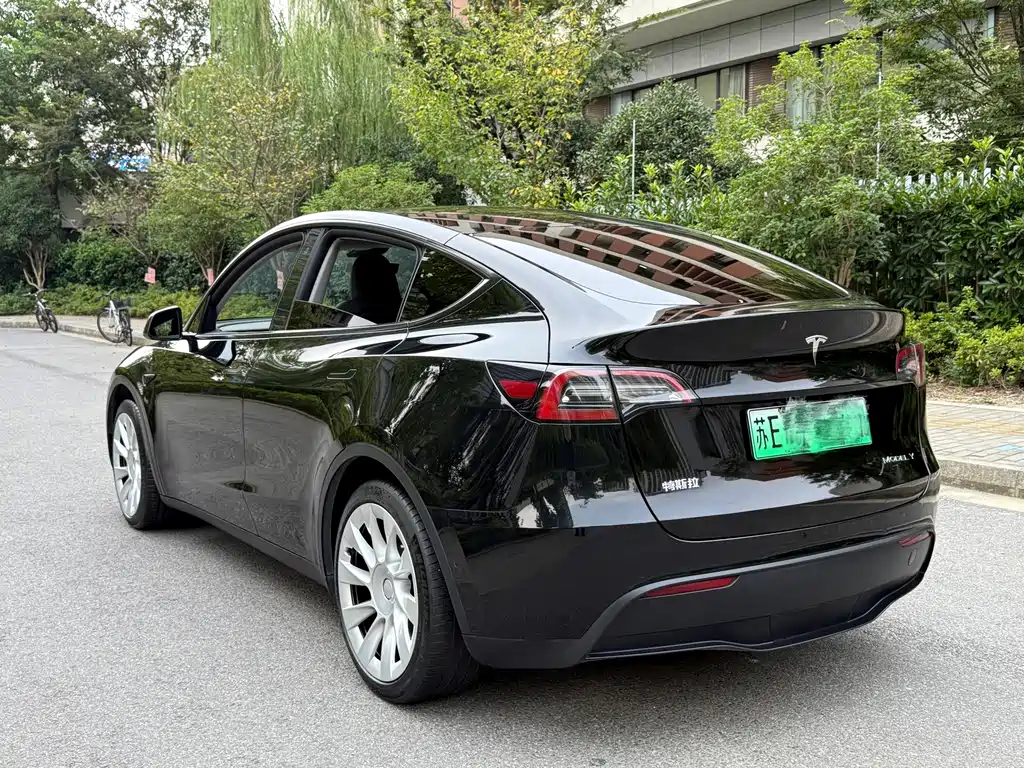 Tesla Model Y — миниатюра 4