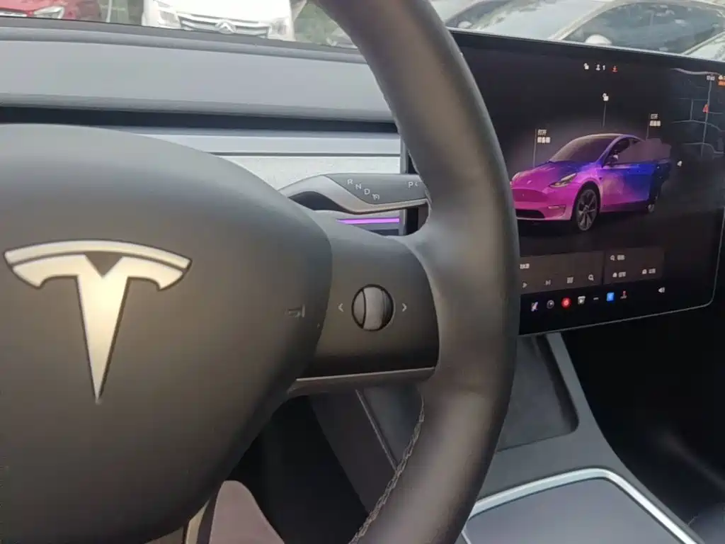 Tesla Model Y — миниатюра 14