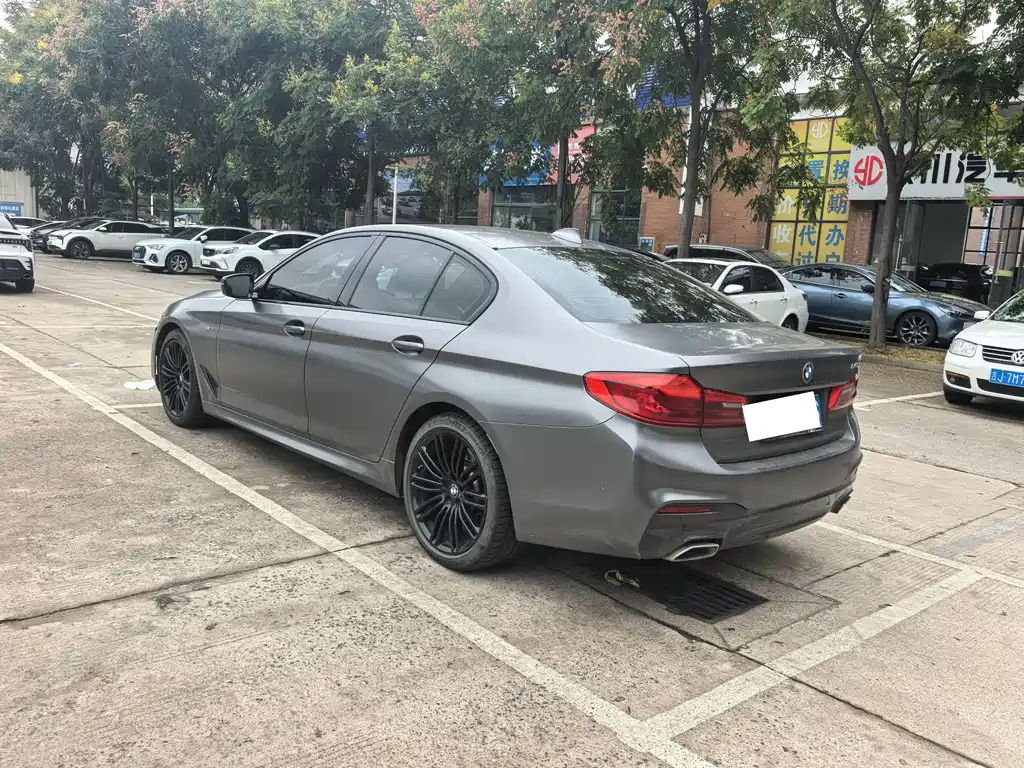 BMW 5 Series (Import) — миниатюра 5