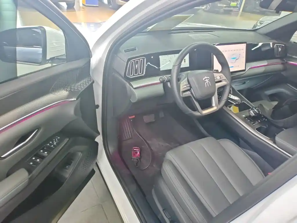 BYD Pro New Energy — миниатюра 16