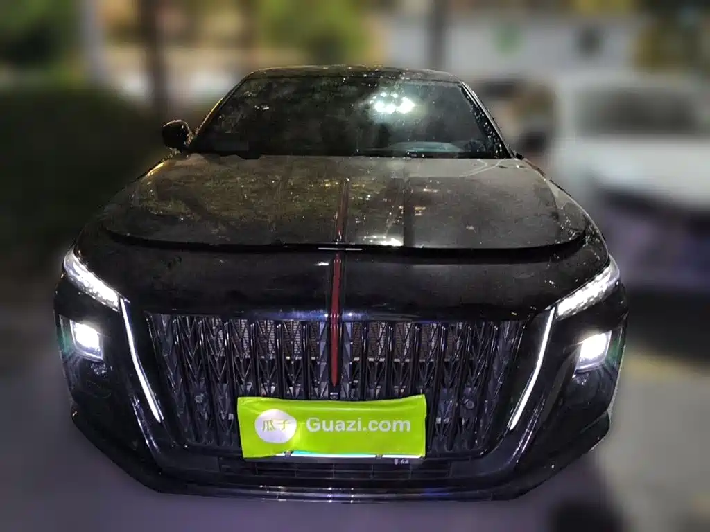 Hongqi Hongqi H5 — миниатюра 2