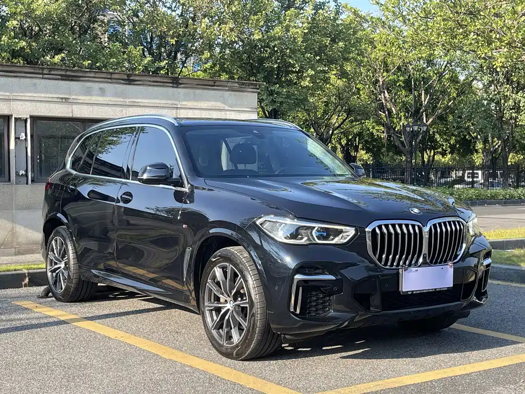 BMW X5 — миниатюра 3