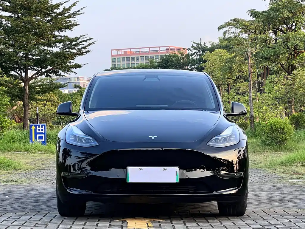 Tesla Model Y — миниатюра 2