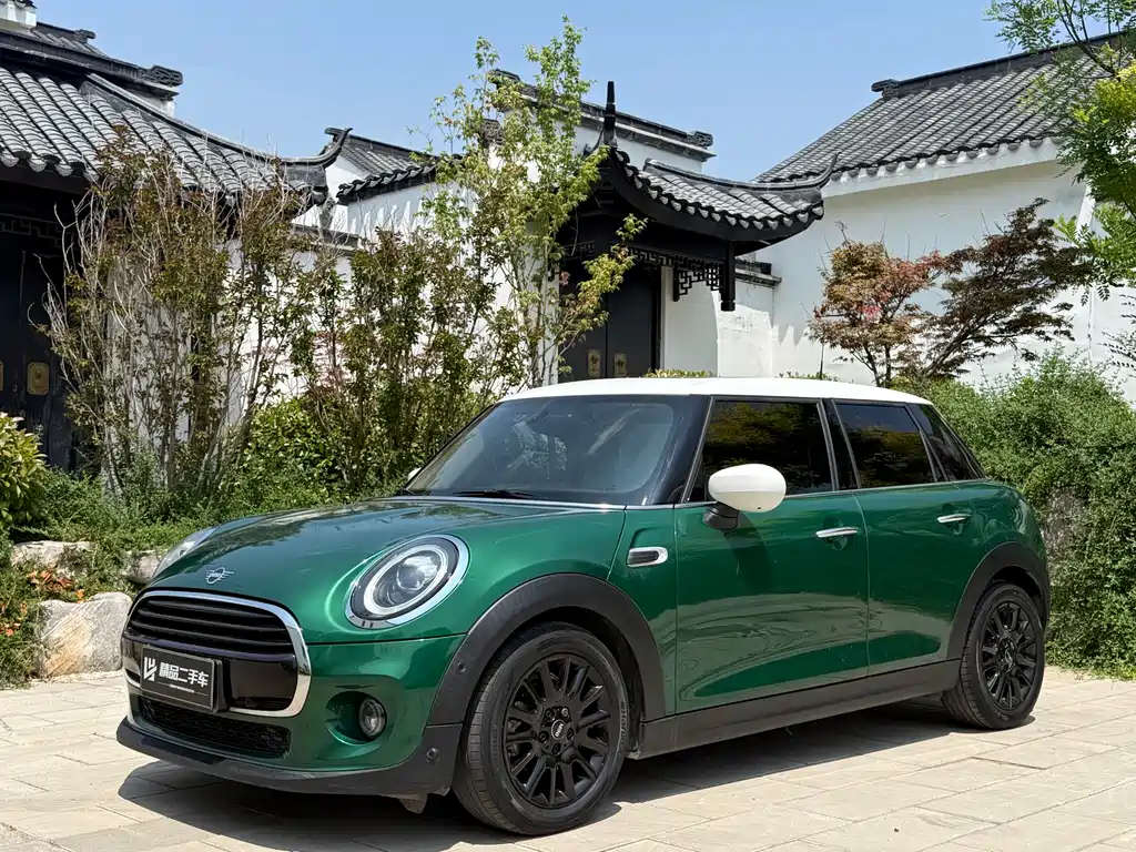 Mini Mini 2020