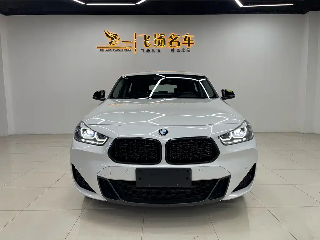 BMW X2 — миниатюра 2