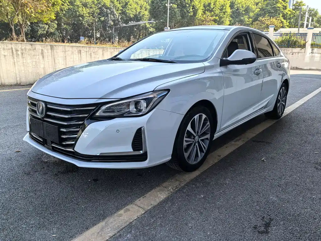 Changan Ruicheng CC 2020