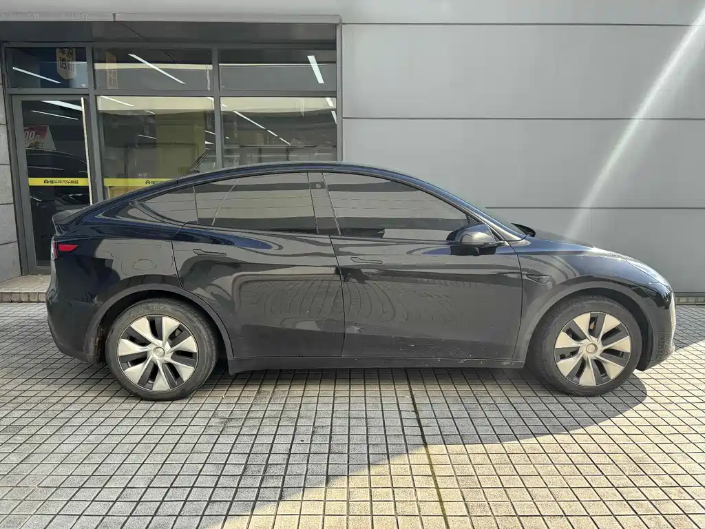 Tesla Model Y — миниатюра 3