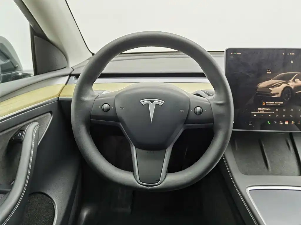 Tesla Model Y — миниатюра 11