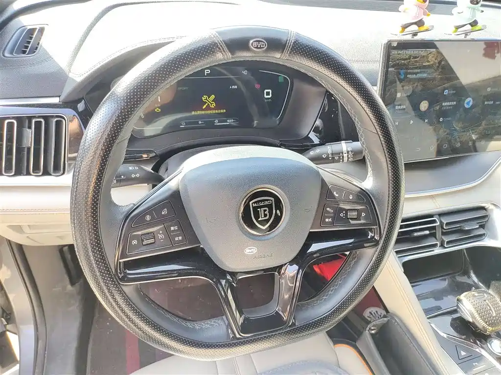 BYD SONGJIANG NEW ENERGY