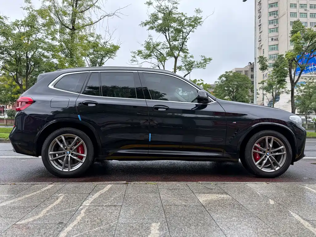 BMW X3 — миниатюра 8