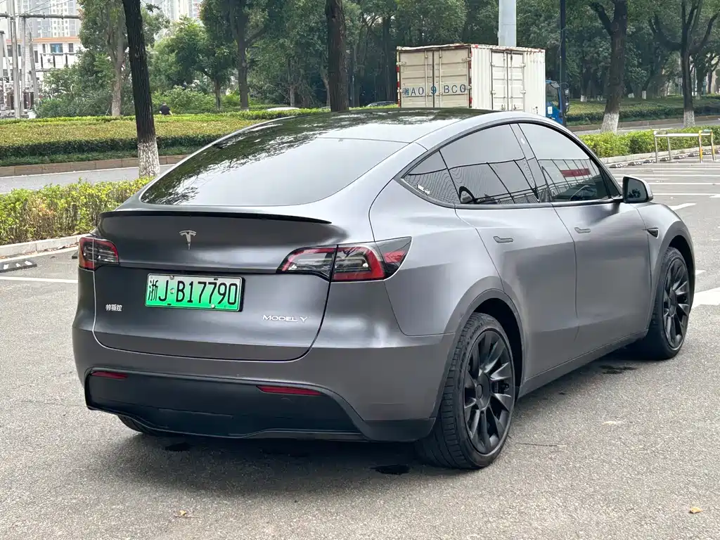 Tesla Model Y — миниатюра 6