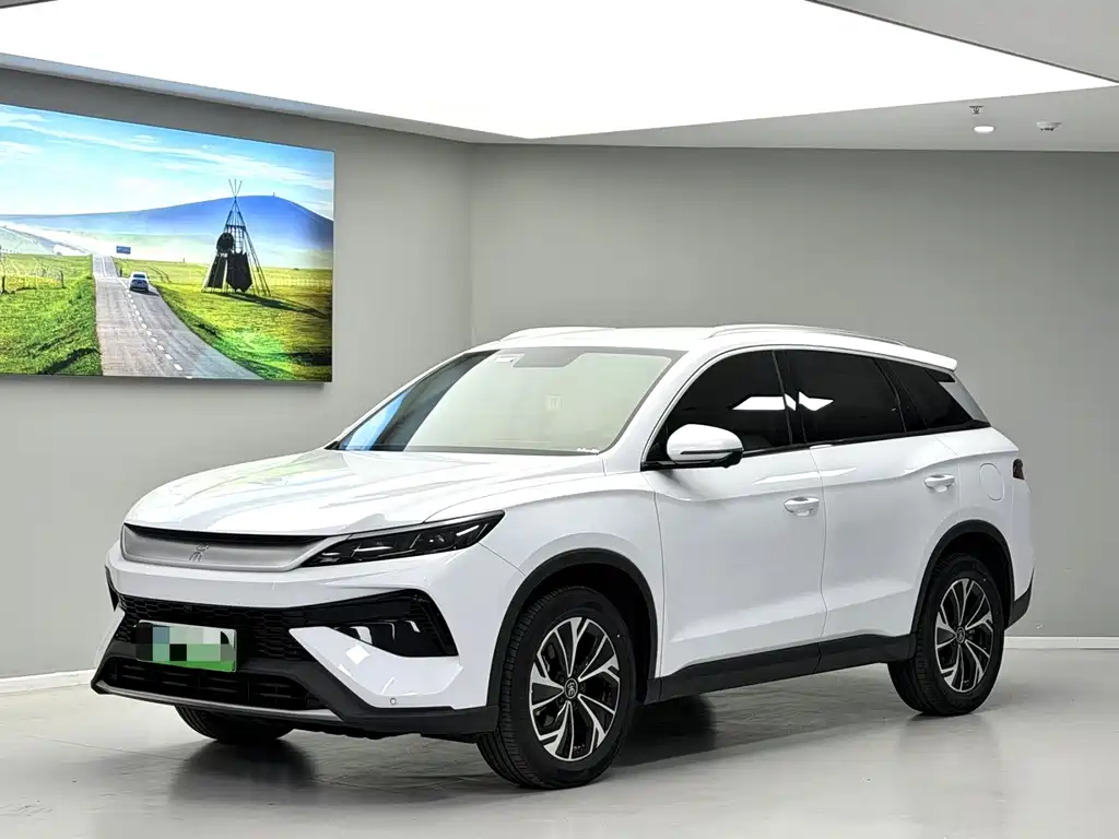 Byd Pro New Energy 2025