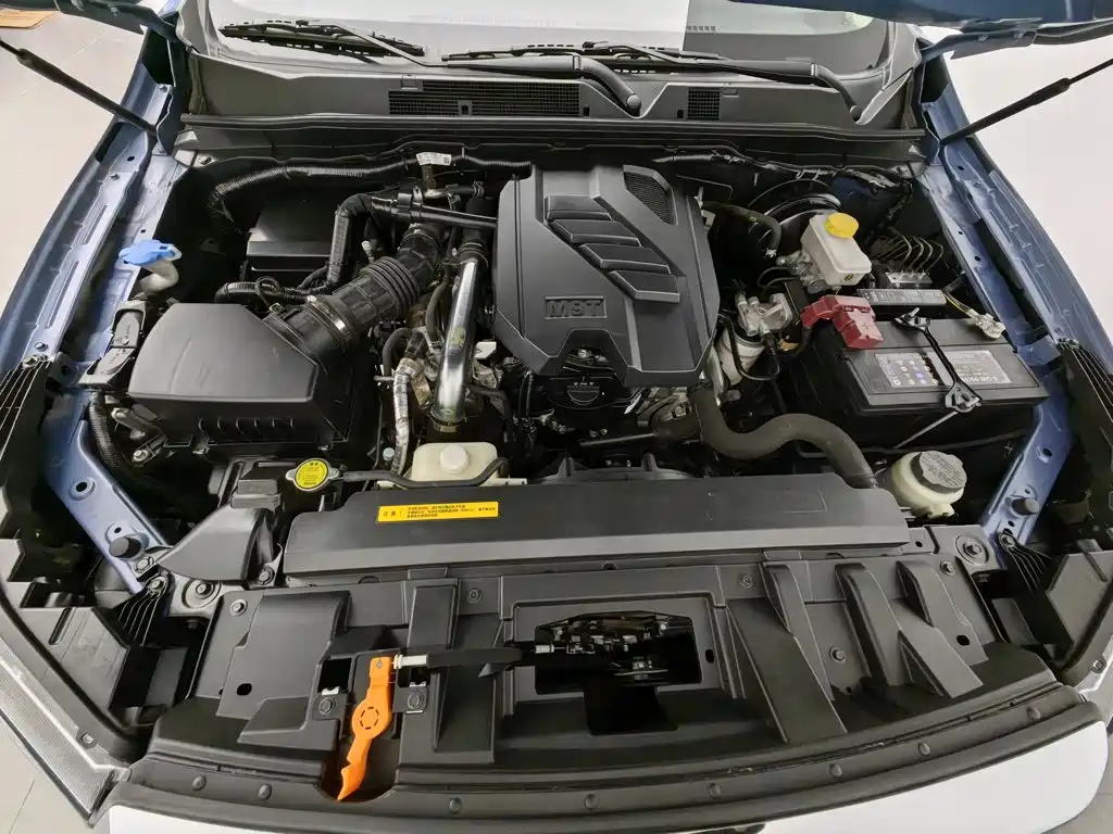 Dongfeng Rich 6 — миниатюра 6