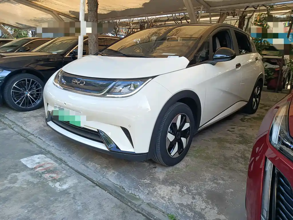 BYD Dolphin 2025 420km Fashion