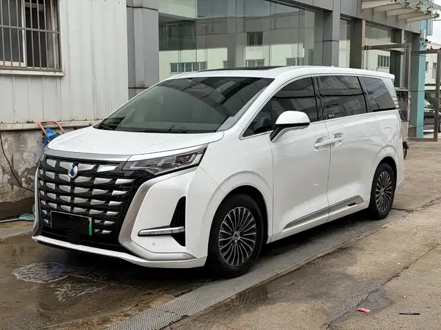 2023 Denza D9