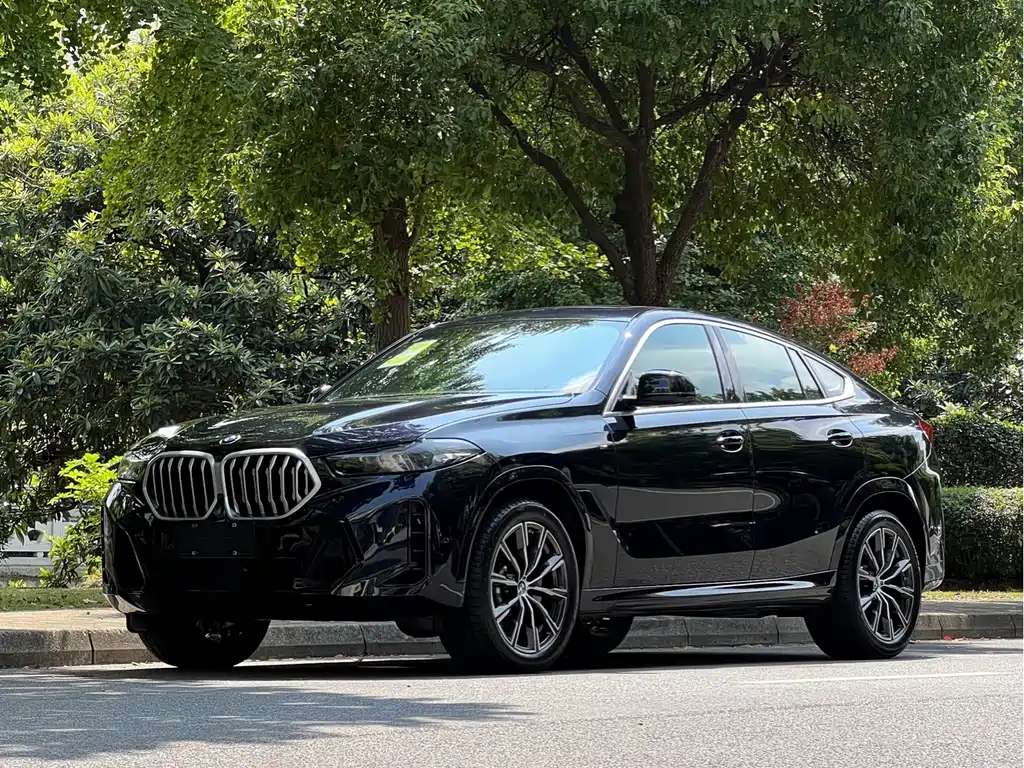 BMW X6 2023 xDrive30i M Sport