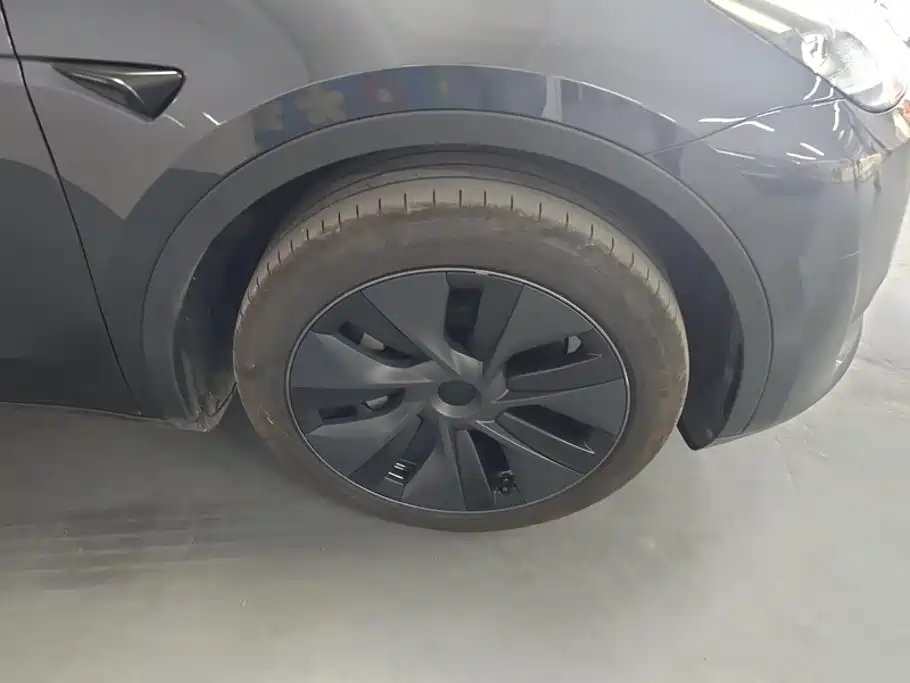 Tesla Model Y — миниатюра 6