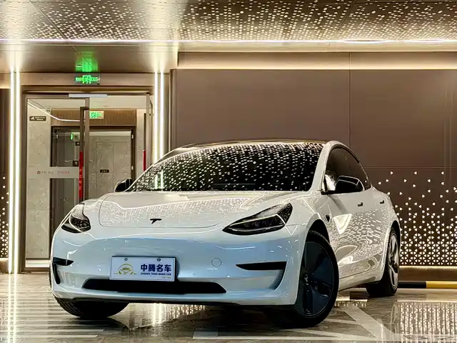 TESLA MODEL 3 2019