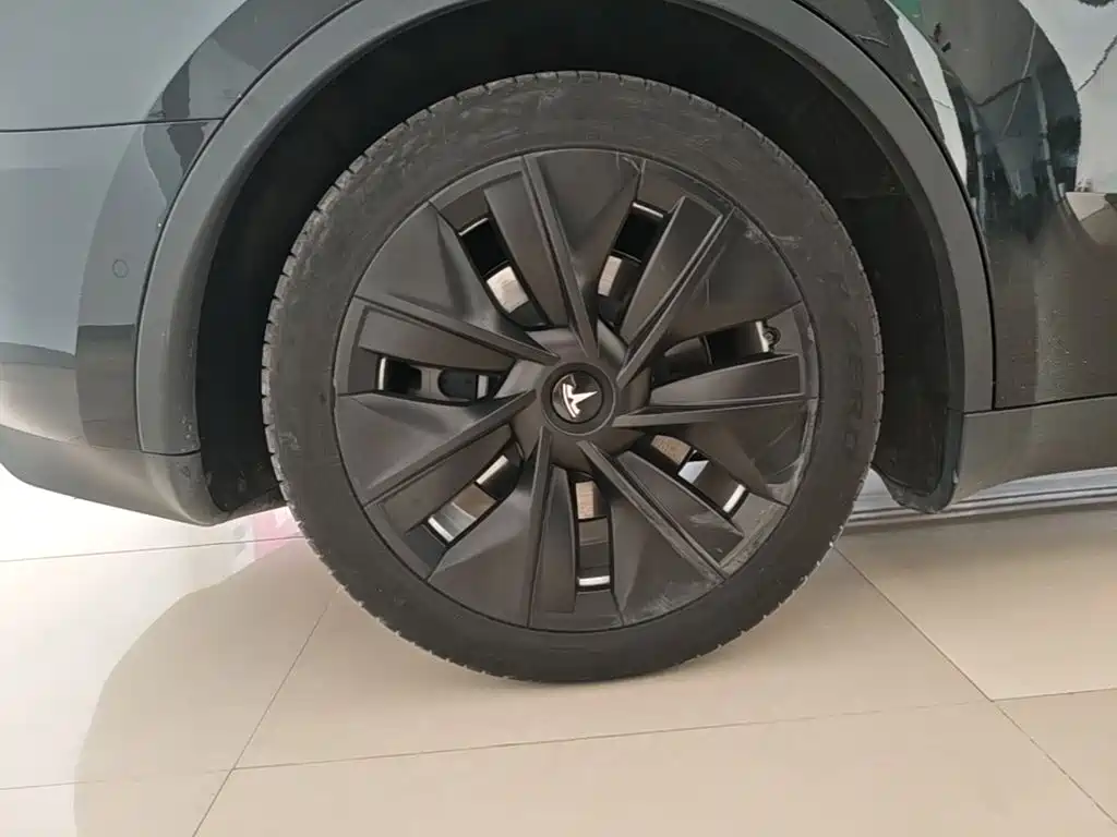 Tesla Model Y — миниатюра 23