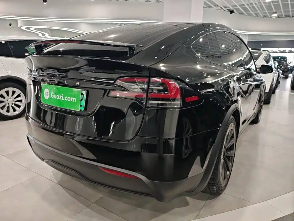 Tesla Model X — миниатюра 7